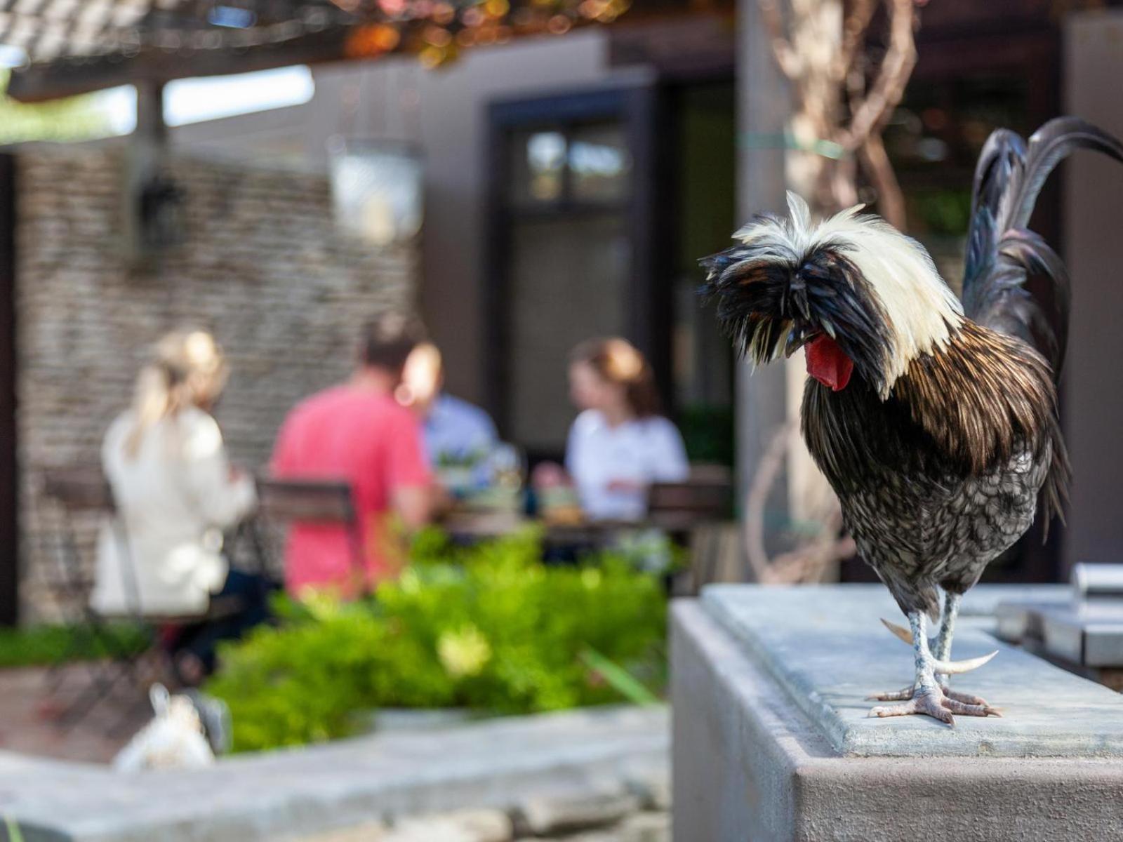 Rivergate Guest Farm Станфорд Экстерьер фото